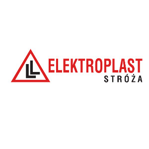 Read more about the article ELEKTROPLAST STRÓŻA– Producent miesiąca